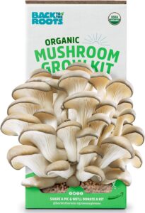 organic-mushroom-grow-kit